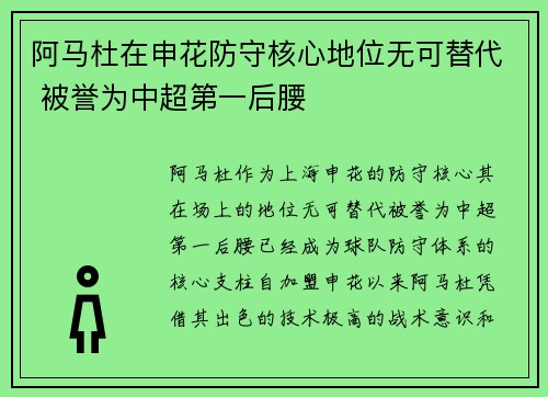 阿马杜在申花防守核心地位无可替代 被誉为中超第一后腰
